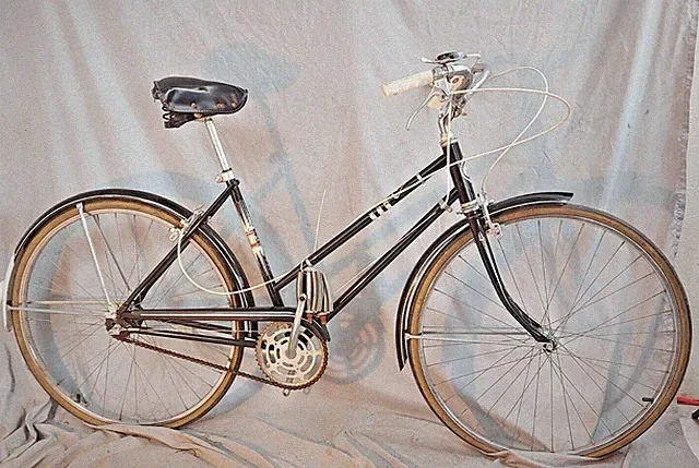 65' Sears Cruiser Bike X-Small 49cm Shimano 333 Internal Hub Steel Cafe Commuter