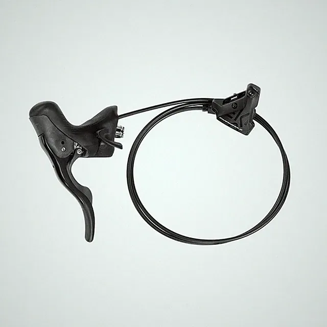 Campagnolo EKAR Hydraulic Ergopower Gravel Shifters & Flat Mount Disc Brake